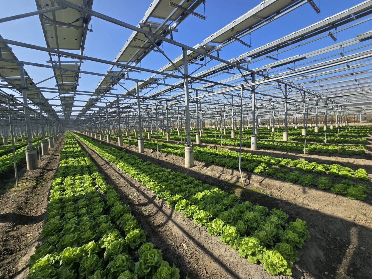 寶晶發展綠能 創造最大發電收益