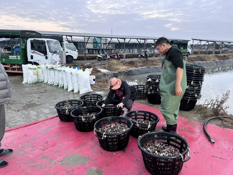 三地能源「真養殖」！攜手協會導入產銷履歷與AI治理